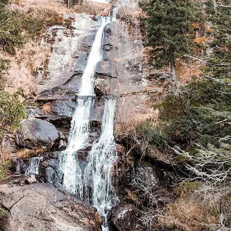 Σαλέ 1a Koralpe Wandern, Grillen Mit Sauna Und Wellness Hartelsberg