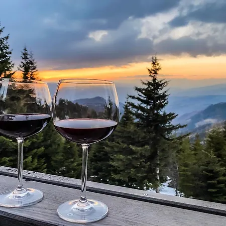 Chalet 1a Koralpe Wandern, Grillen Mit Sauna Und Wellness *